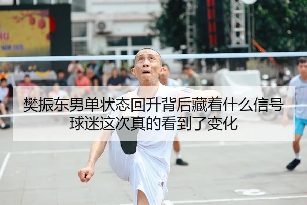 樊振东男单状态回升背后藏着什么信号球迷这次真的看到了变化